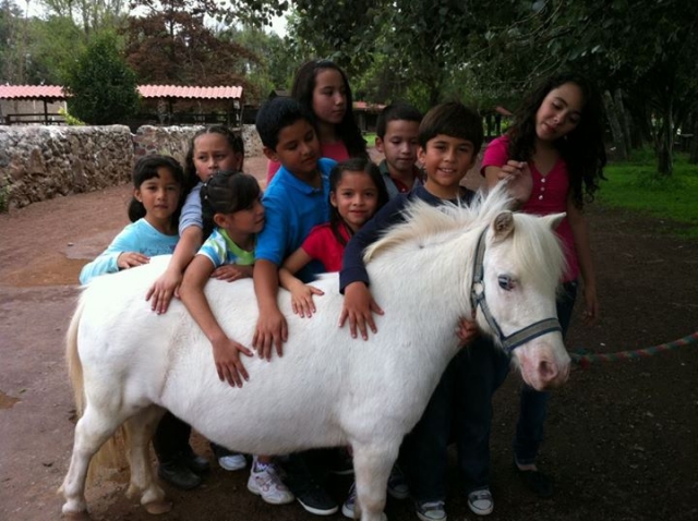 Todos con el pony